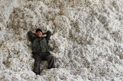 中国,安徽省在安徽省的一家棉花收购站里,一位正在休息的工人躺在棉花