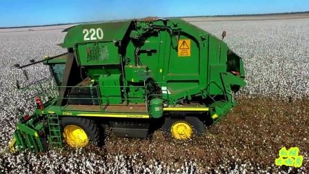 国外农民用这个机器收棉花,打包一体机械化,工作效率真高